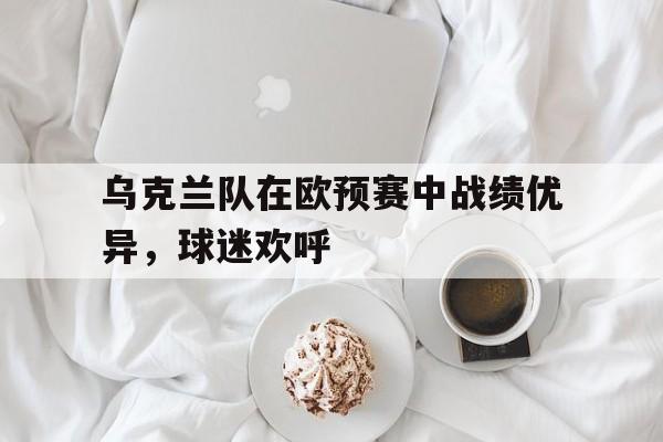 乌克兰队在欧预赛中战绩优异,球迷欢呼的简单介绍